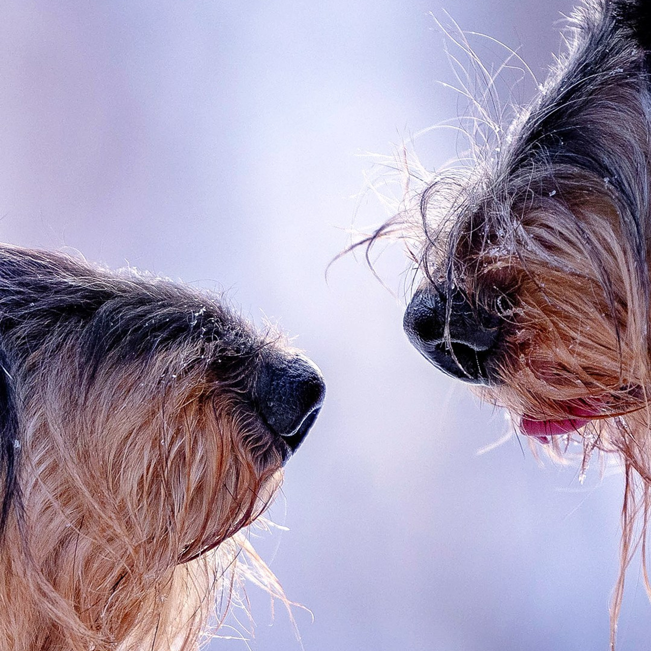 Отзывы. Https://moshkovaphoto.ru/