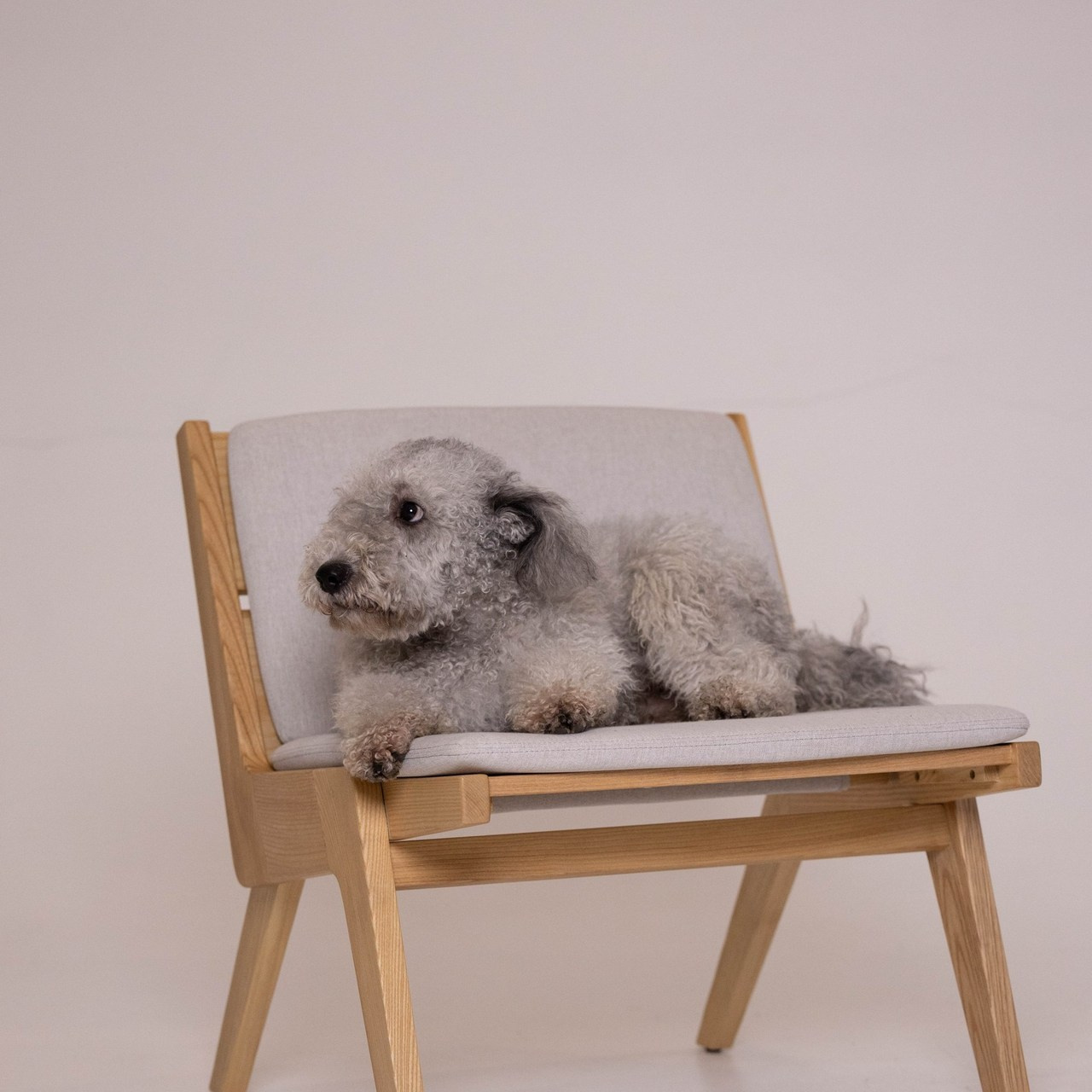 Отзывы. Https://moshkovaphoto.ru/