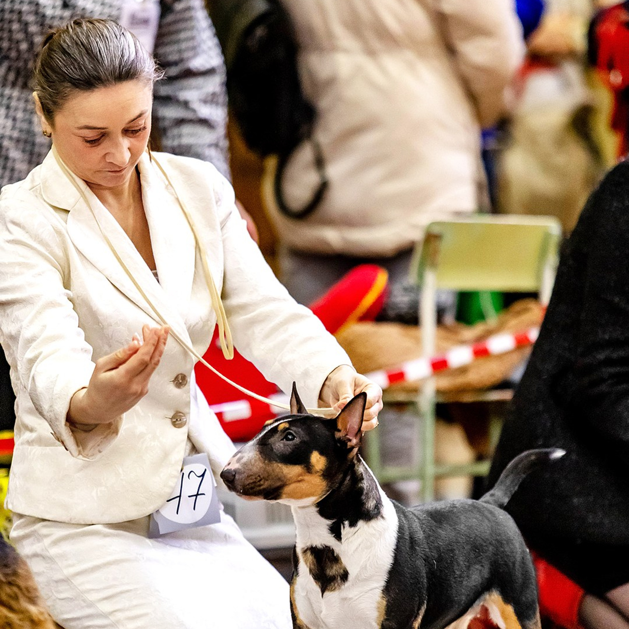 Отзывы. Https://moshkovaphoto.ru/