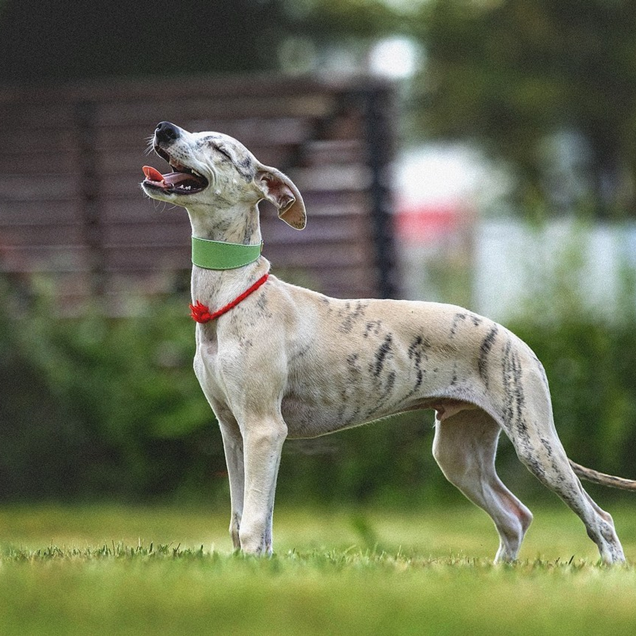 Отзывы. Https://moshkovaphoto.ru/