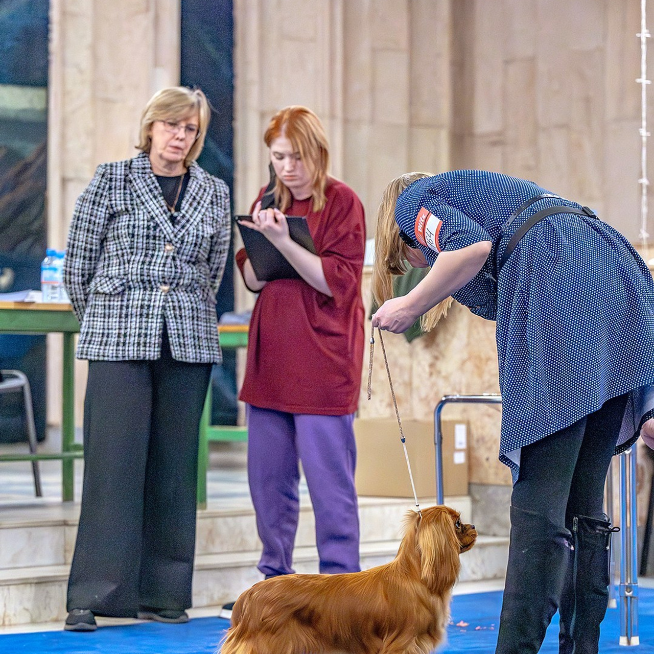 Отзывы. Https://moshkovaphoto.ru/