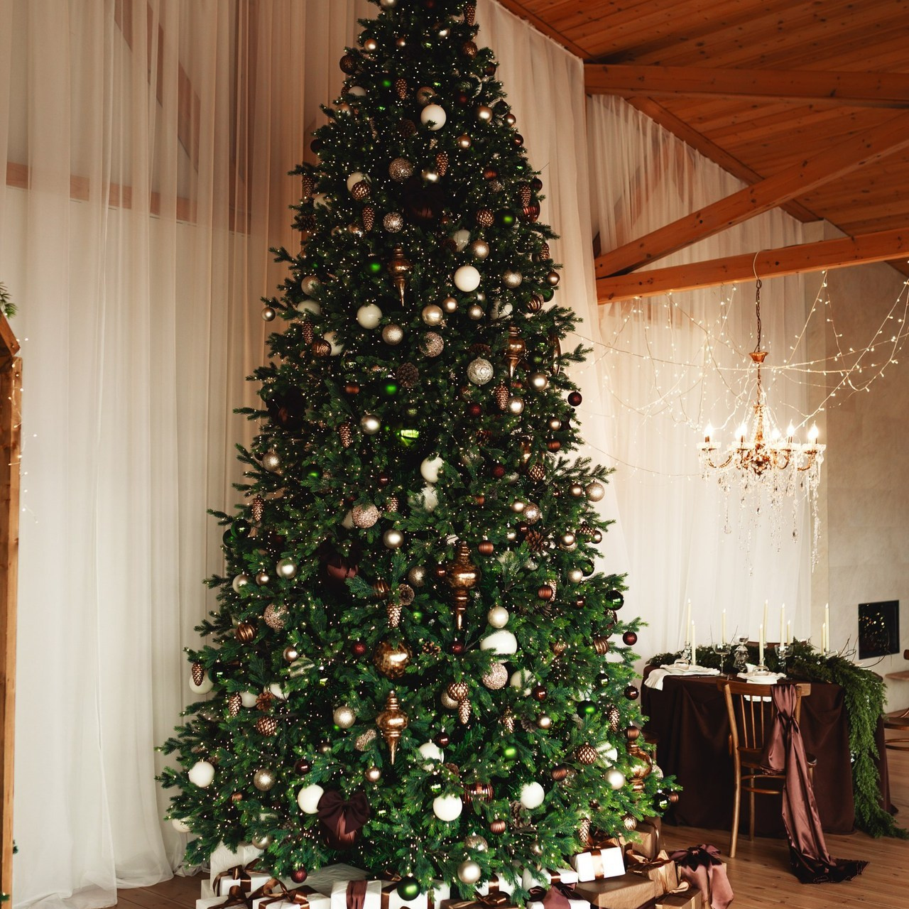 Отзывы. Индивидуальный фотограф Новосибирск Настя