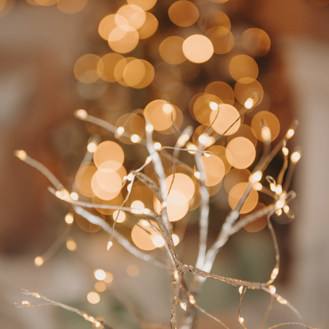 Отзывы. Семейный фотограф в Петрозаводске Ксения Крупская