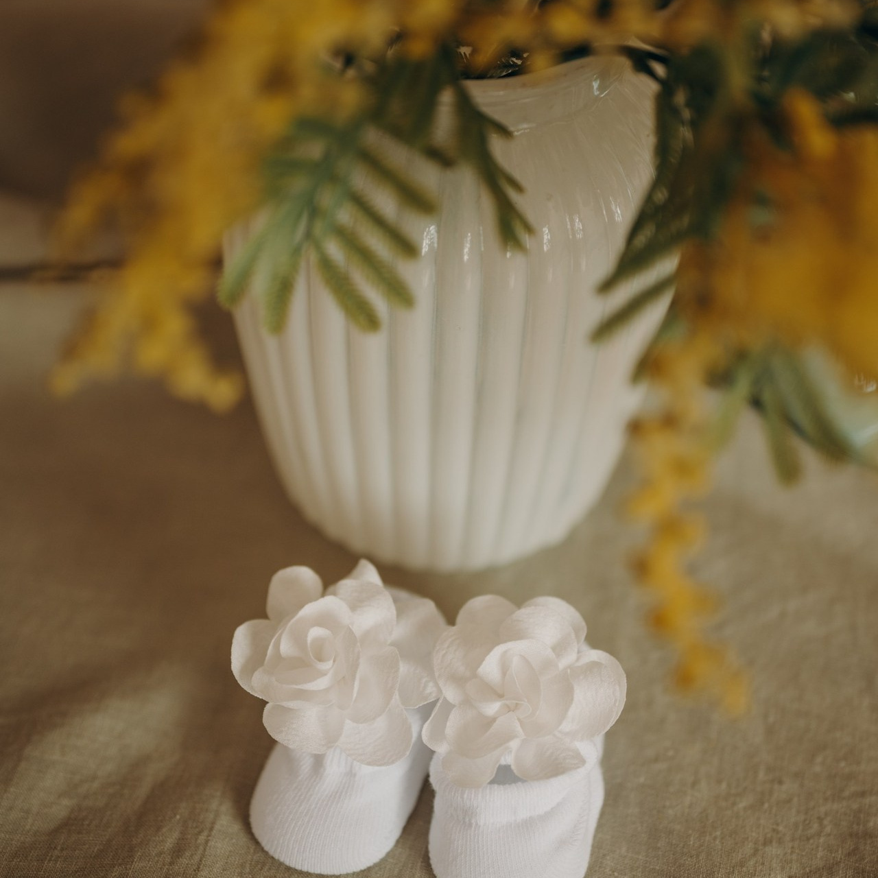 Отзывы. Семейный фотограф в Петрозаводске Ксения Крупская