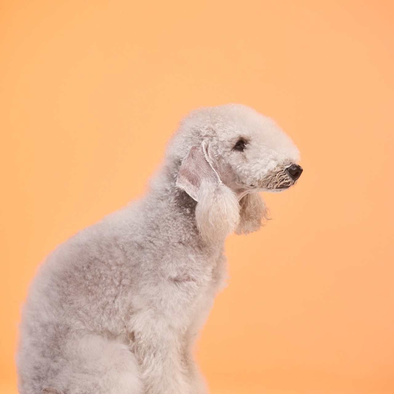 Отзывы. Студийный, предметный и репортажный фотограф в Владивостоке