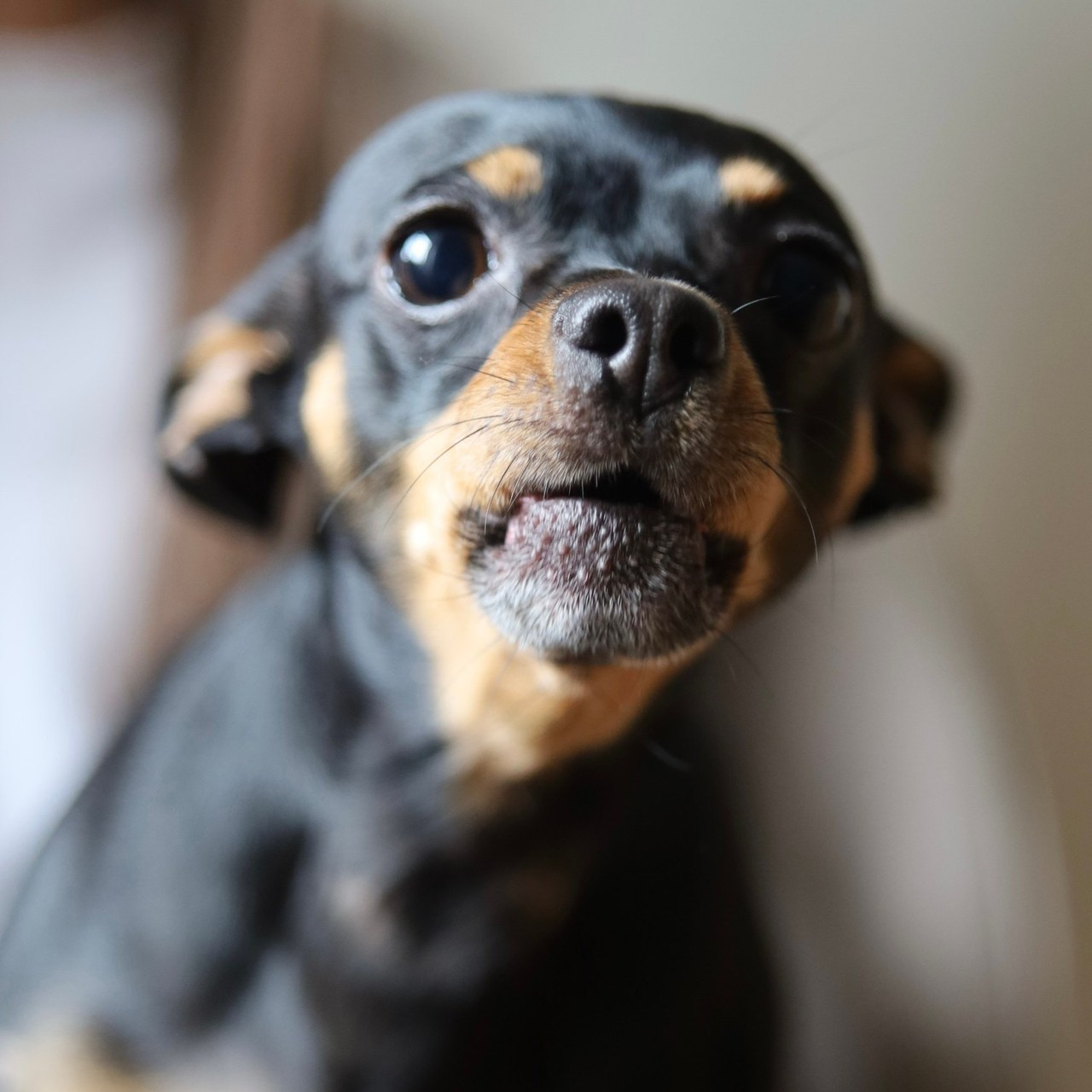 Отзывы. Фотограф в Серпухове и Тарусе Ксения Царёва