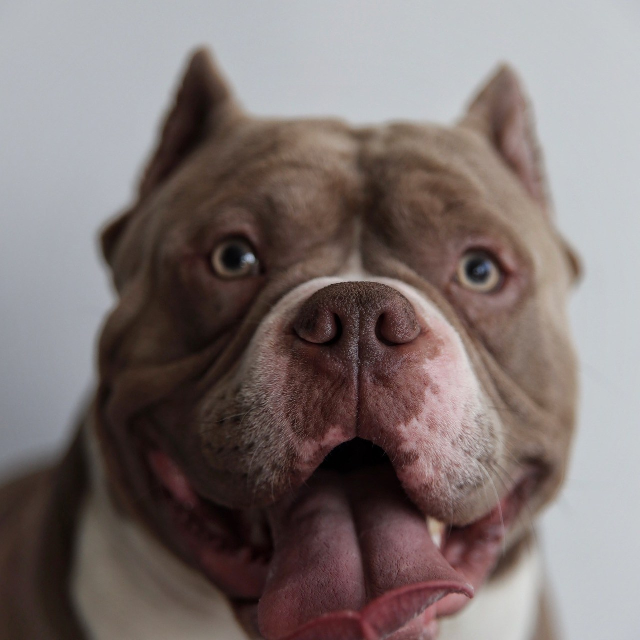 Отзывы. Фотограф в Серпухове и Тарусе Ксения Царёва