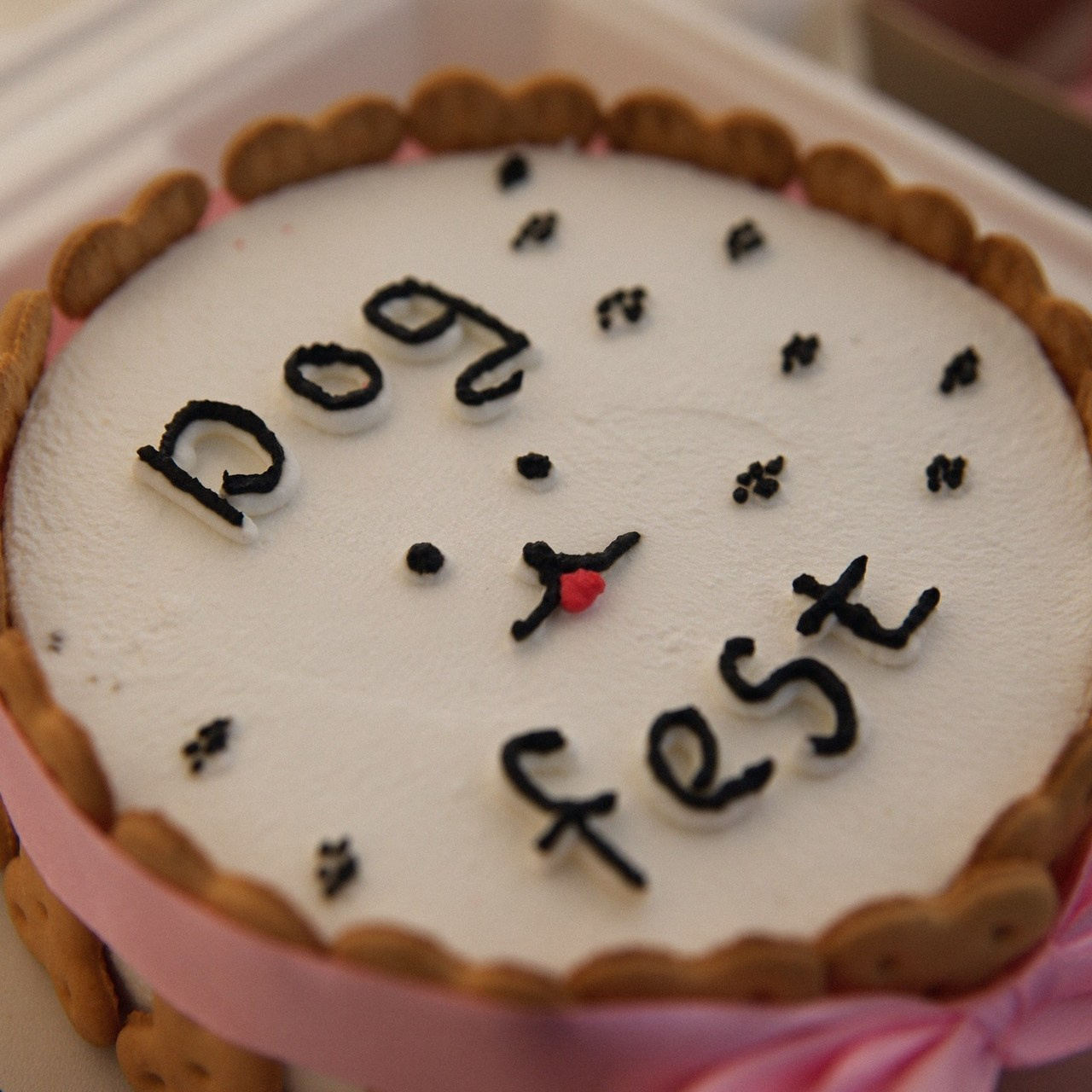 Отзывы. Фотограф в Серпухове и Тарусе Ксения Царёва