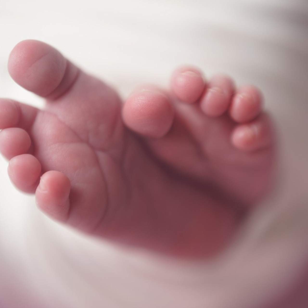 Отзывы. Newborn фотограф в Москве — Фотофеи. Съемка новорожденных и детей до года