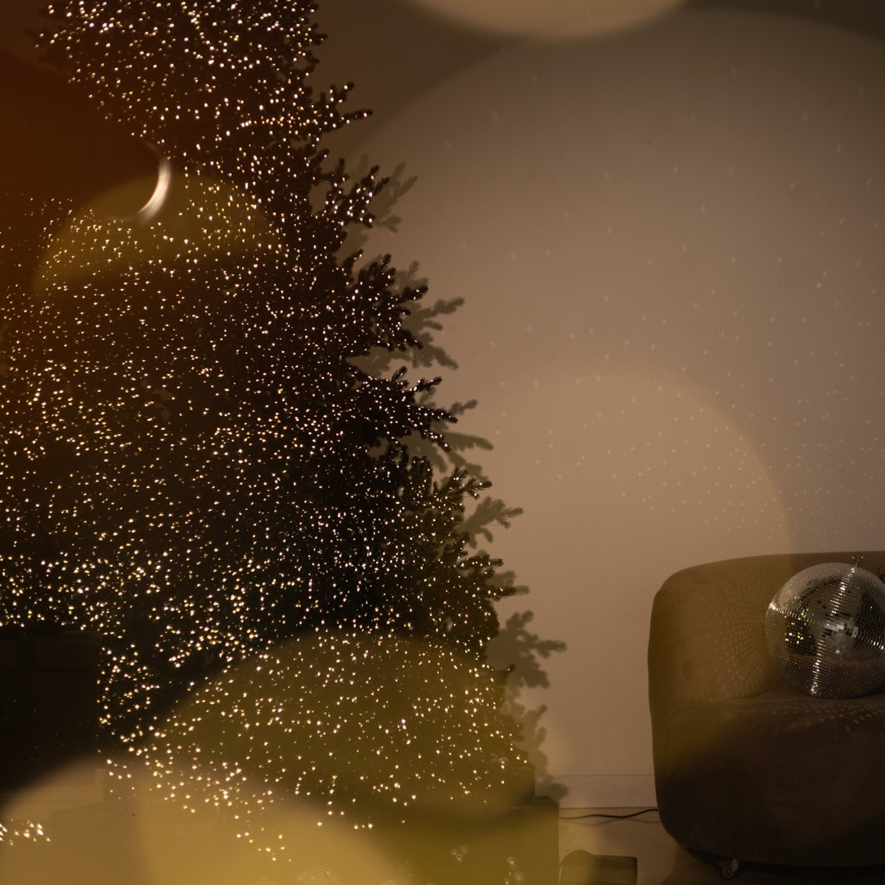 Отзывы. Портретный и репортажный фотограф в Москве Олеся Лисарк