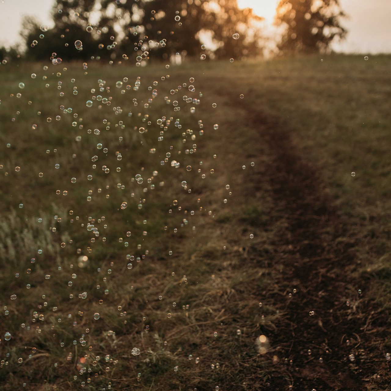 Отзывы. Фотограф Красноярск Рукосуева Катерина