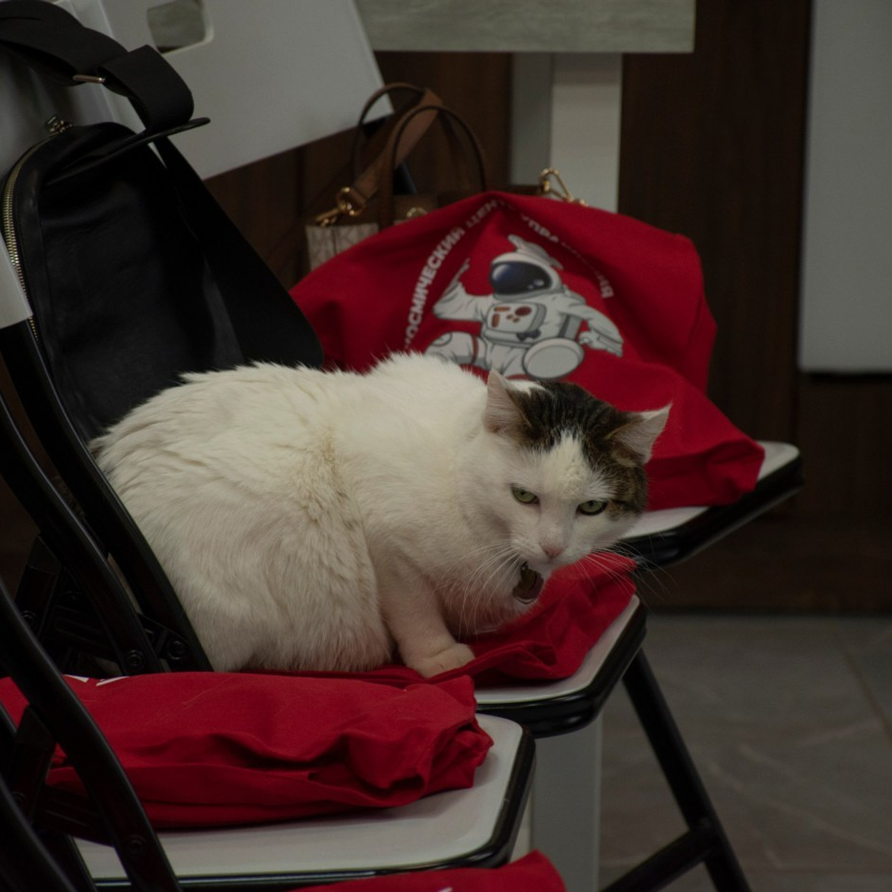 Отзывы о работе. Денисова Лера. Фотограф-лирик в Рязани и Москве