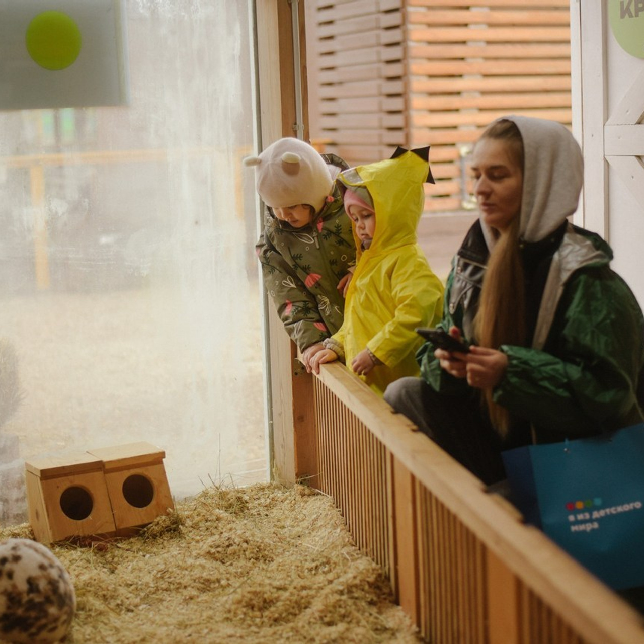 Отзывы. Фотограф Лола Волна, город Москва