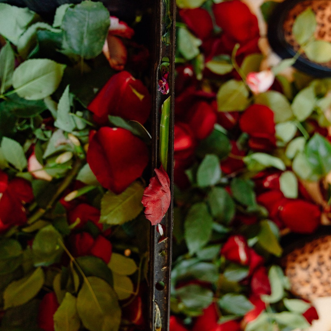 Отзывы. Https://olgapozhidaeva.ru