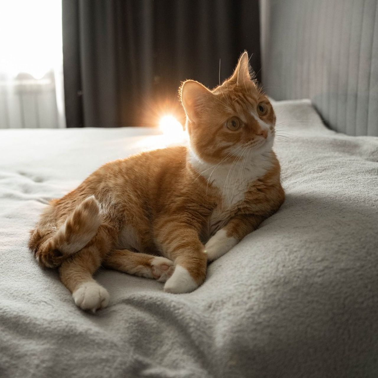 Отзывы. Фотограф новорожденных в городе Пермь Карачева Юлия