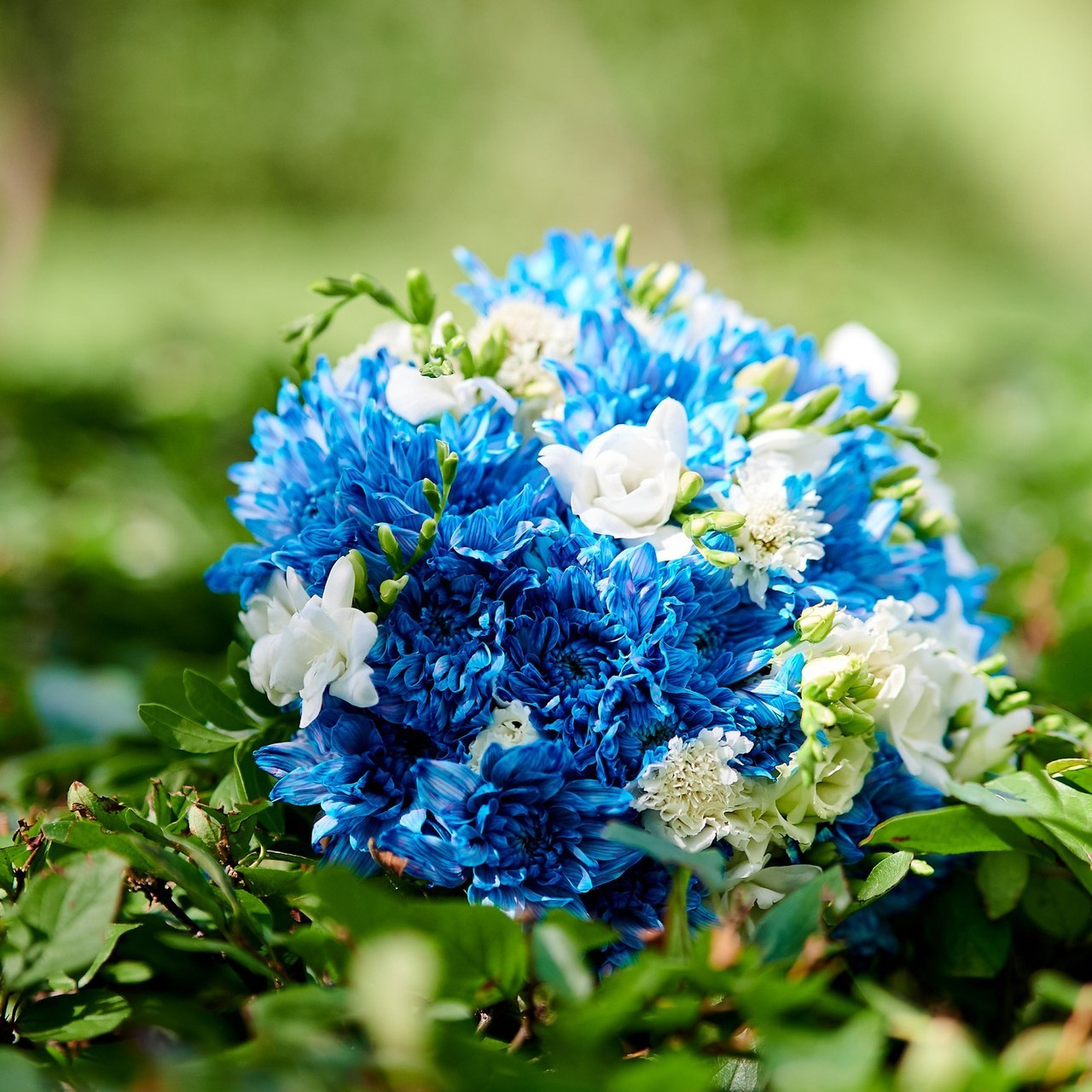 Оставить Отзыв. Профессиональный репортажный фотограф в Самаре Никита Королев