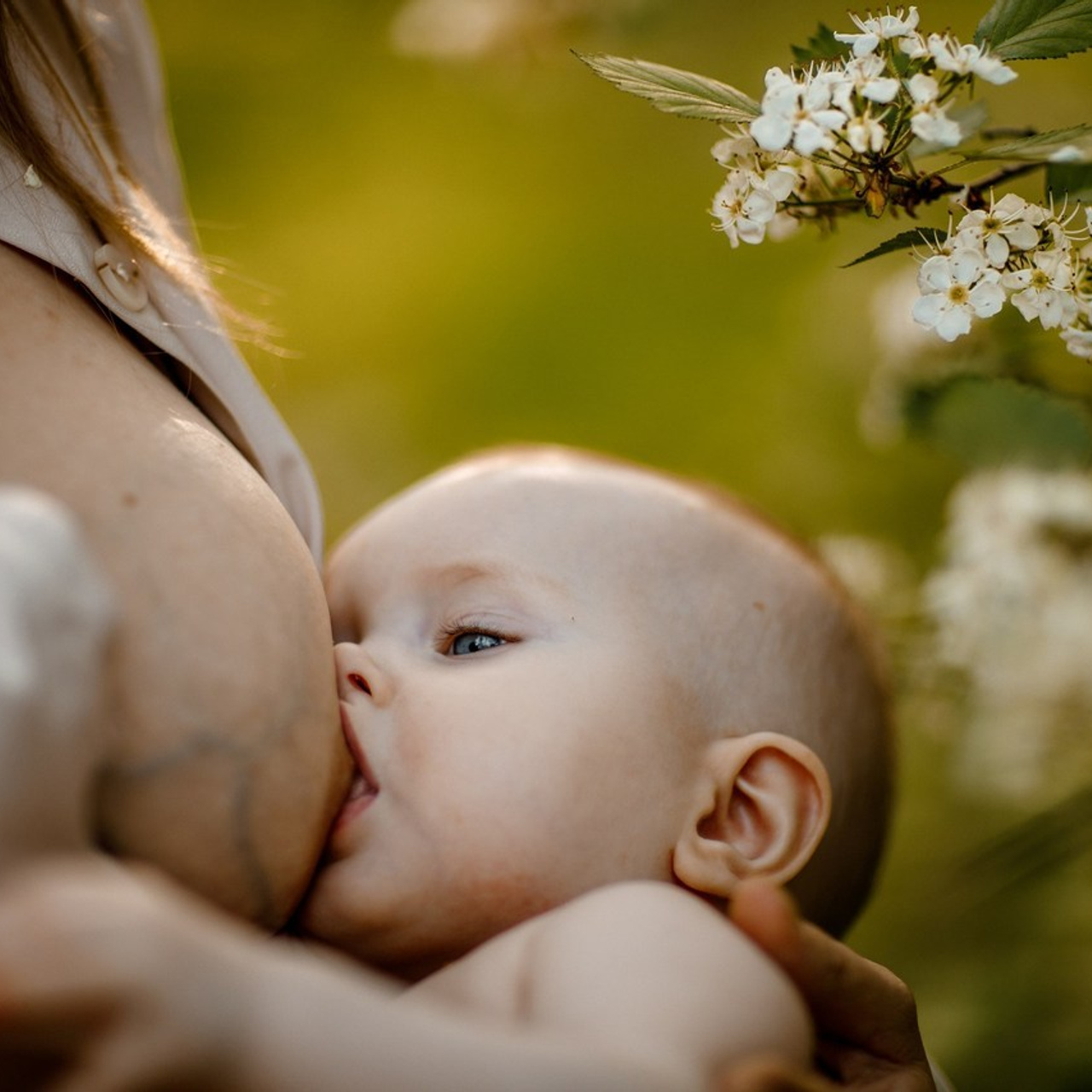 Отзывы. Фотограф материнства и таинства кормления Екатерина Кузьмин