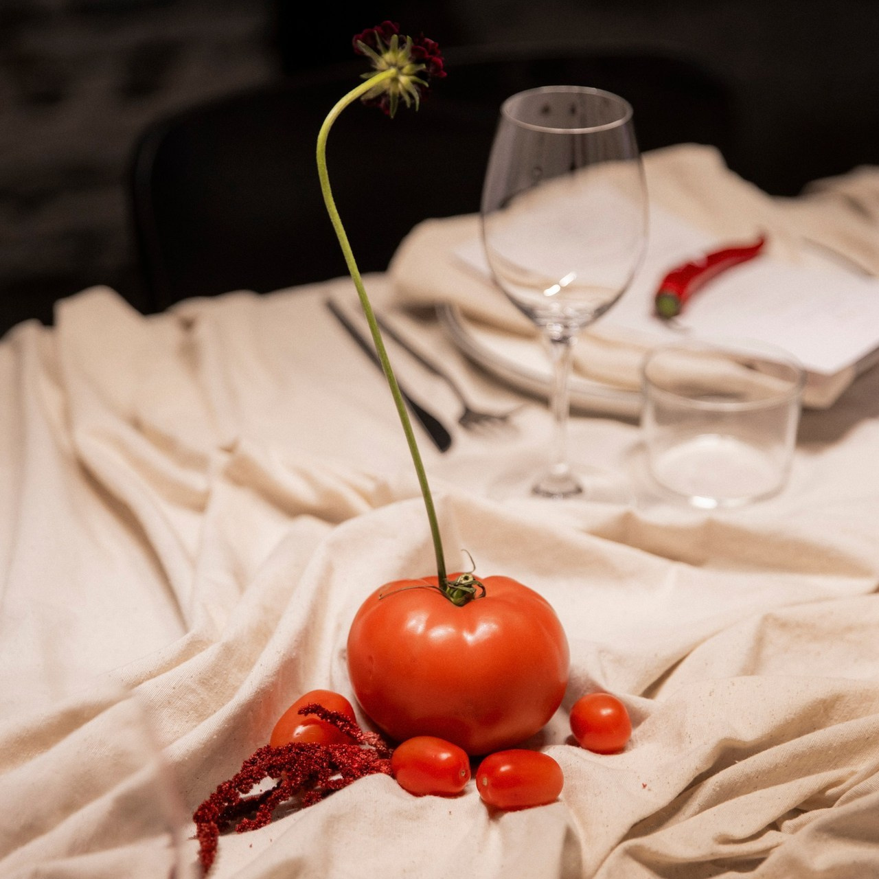 Reviews. Photographer Anastasia Kirnosenko