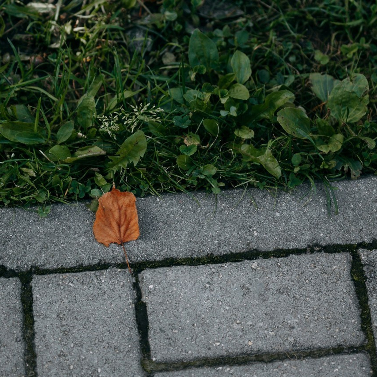 Отзывы. Семейный и репортажный фотограф в Череповце Оля Ланец