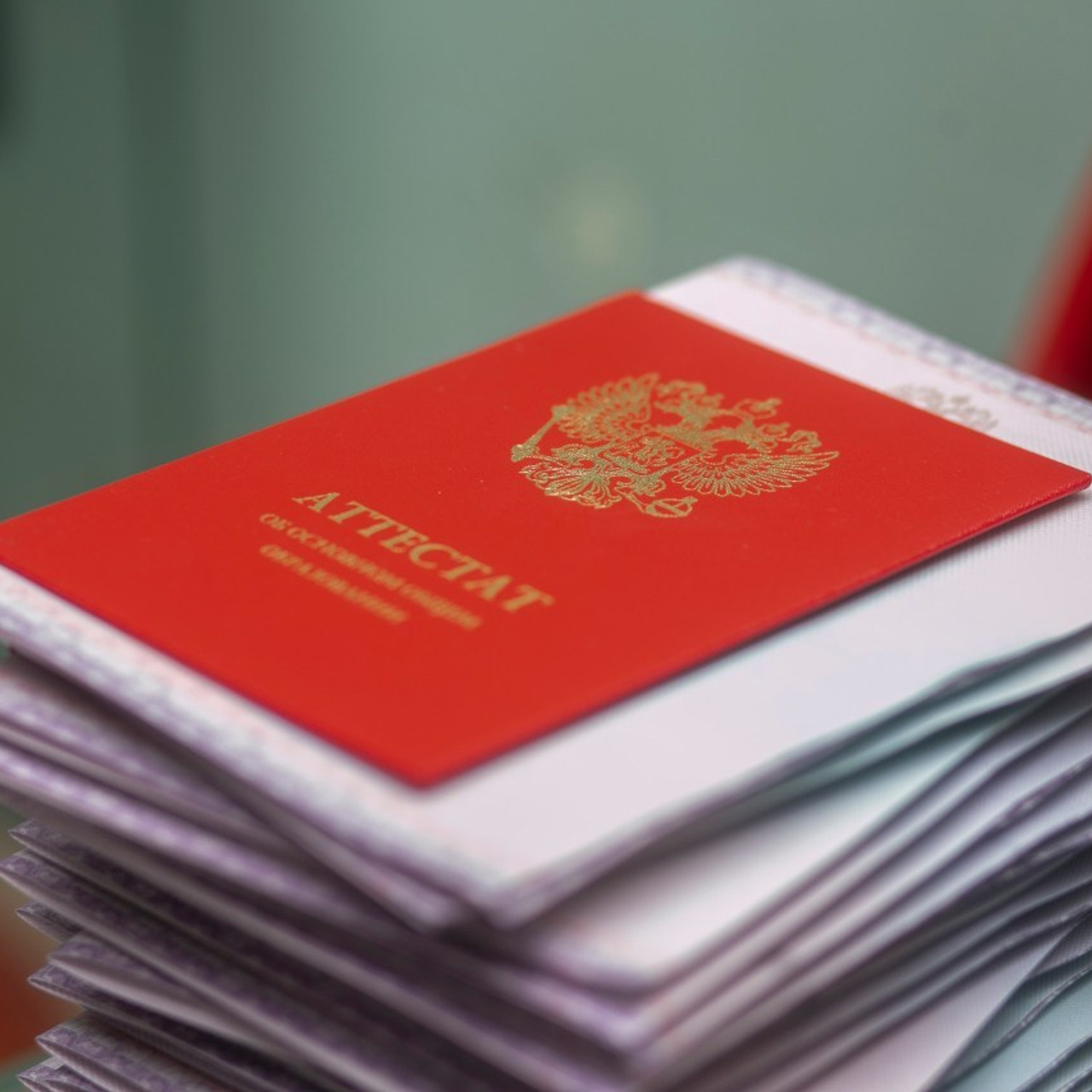 Отзывы. Семейный и репортажный фотограф в Череповце Оля Ланец