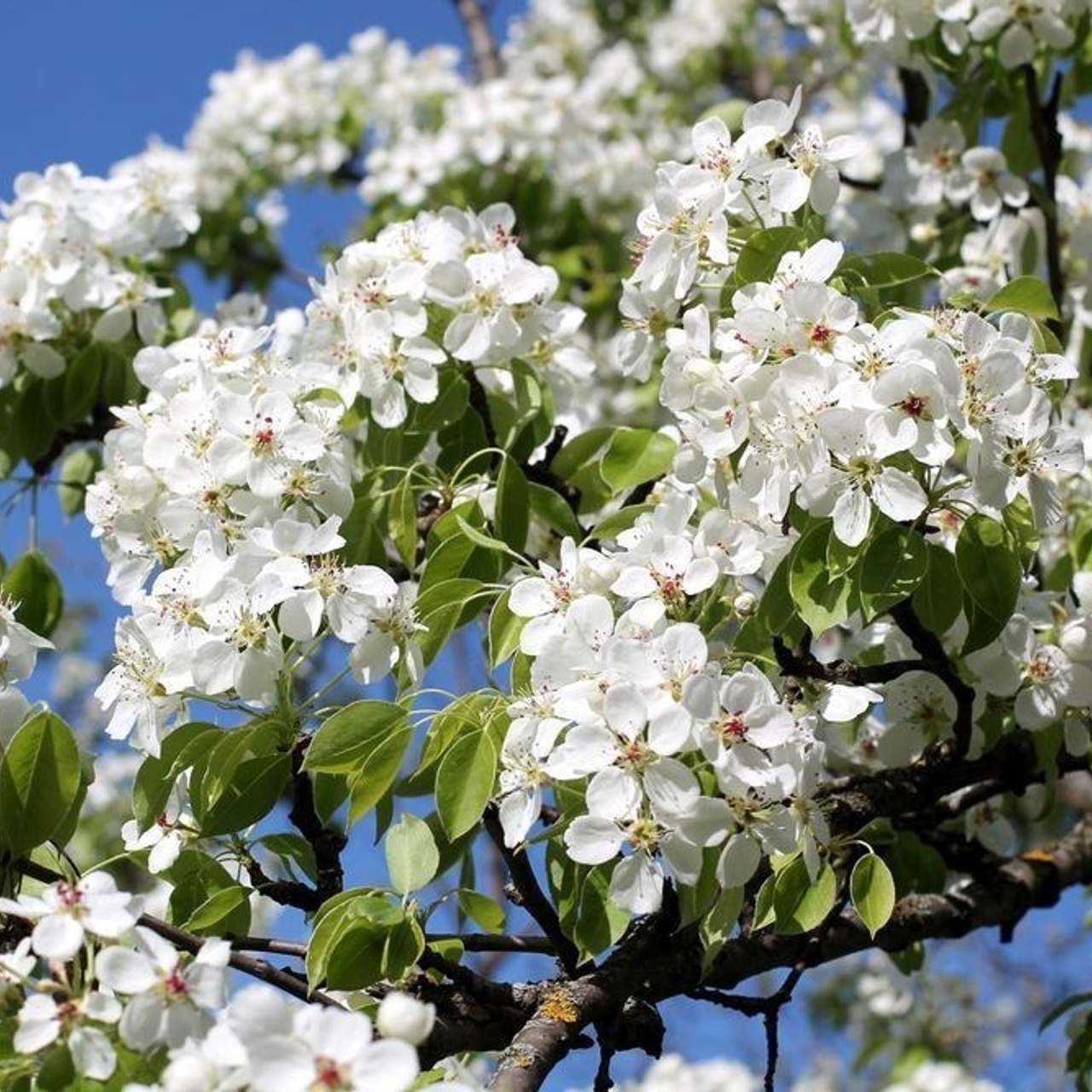 Отзывы. Семейный и репортажный фотограф в Череповце Оля Ланец