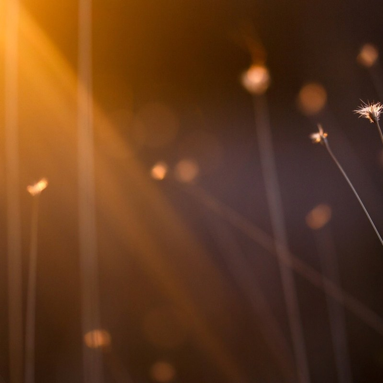 Отзывы. Семейный и репортажный фотограф в Череповце Оля Ланец