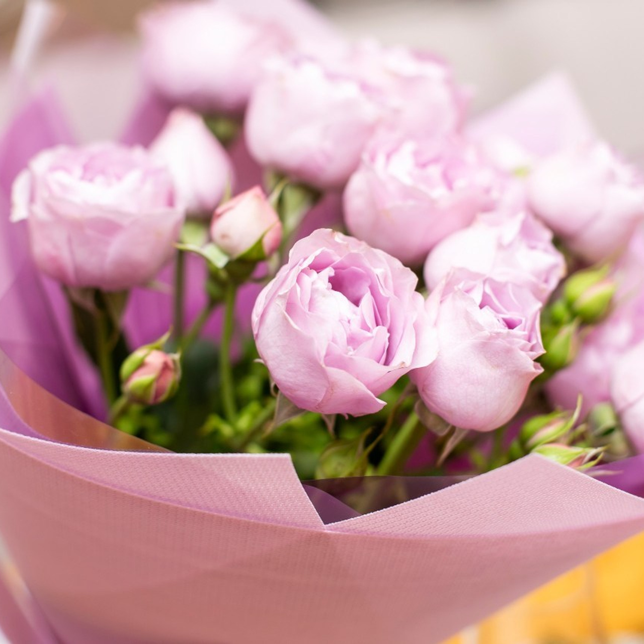 Отзывы. Семейный и репортажный фотограф в Череповце Оля Ланец