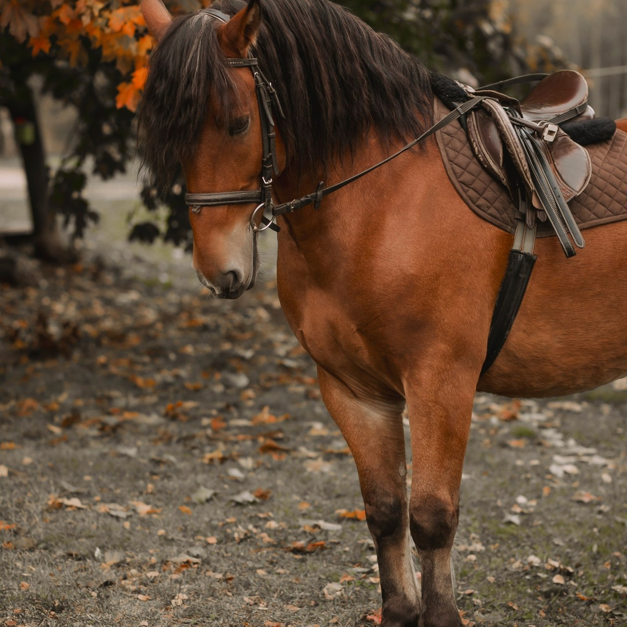 Отзывы. Семейный и репортажный фотограф в Череповце Оля Ланец