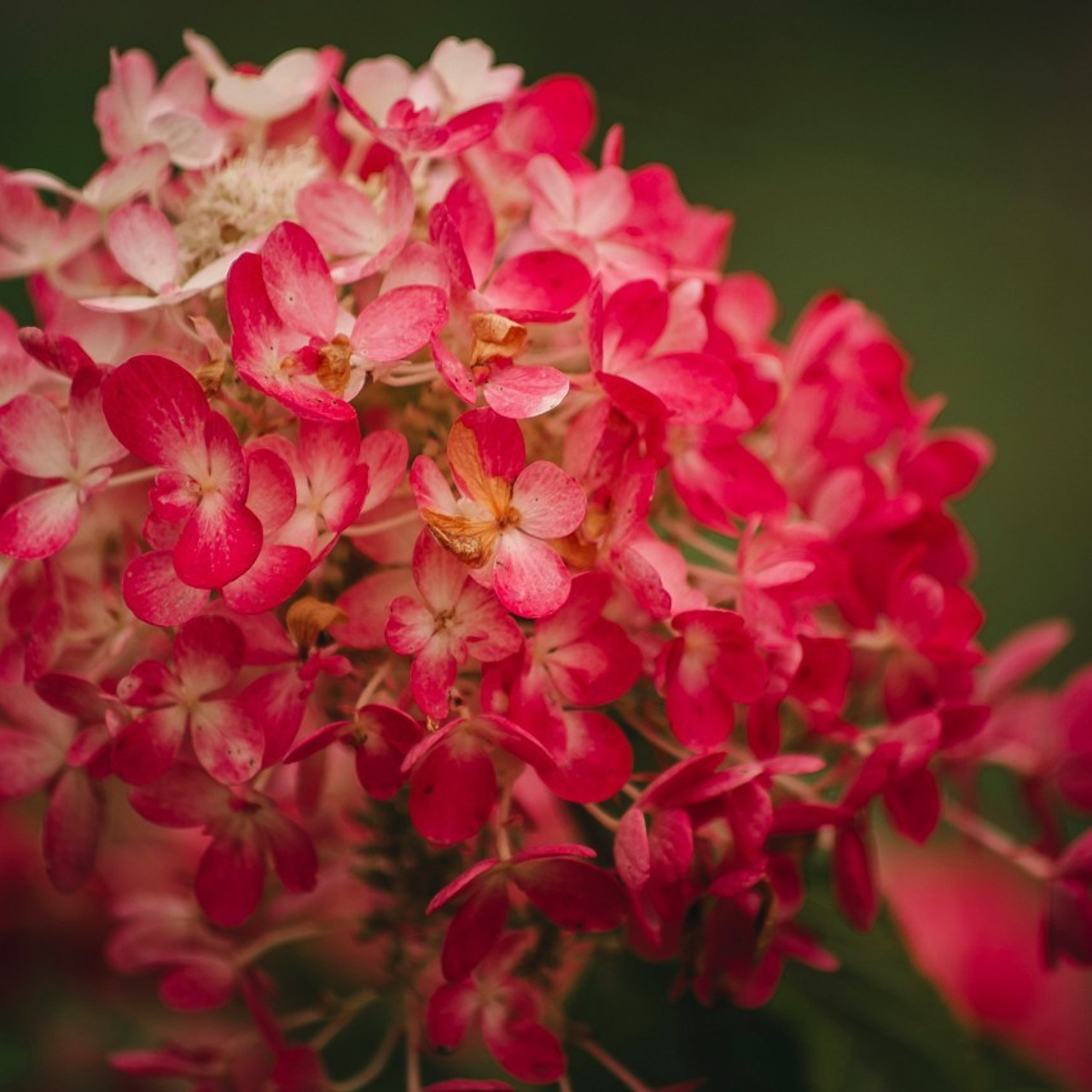 Отзывы. Семейный и репортажный фотограф в Череповце Оля Ланец