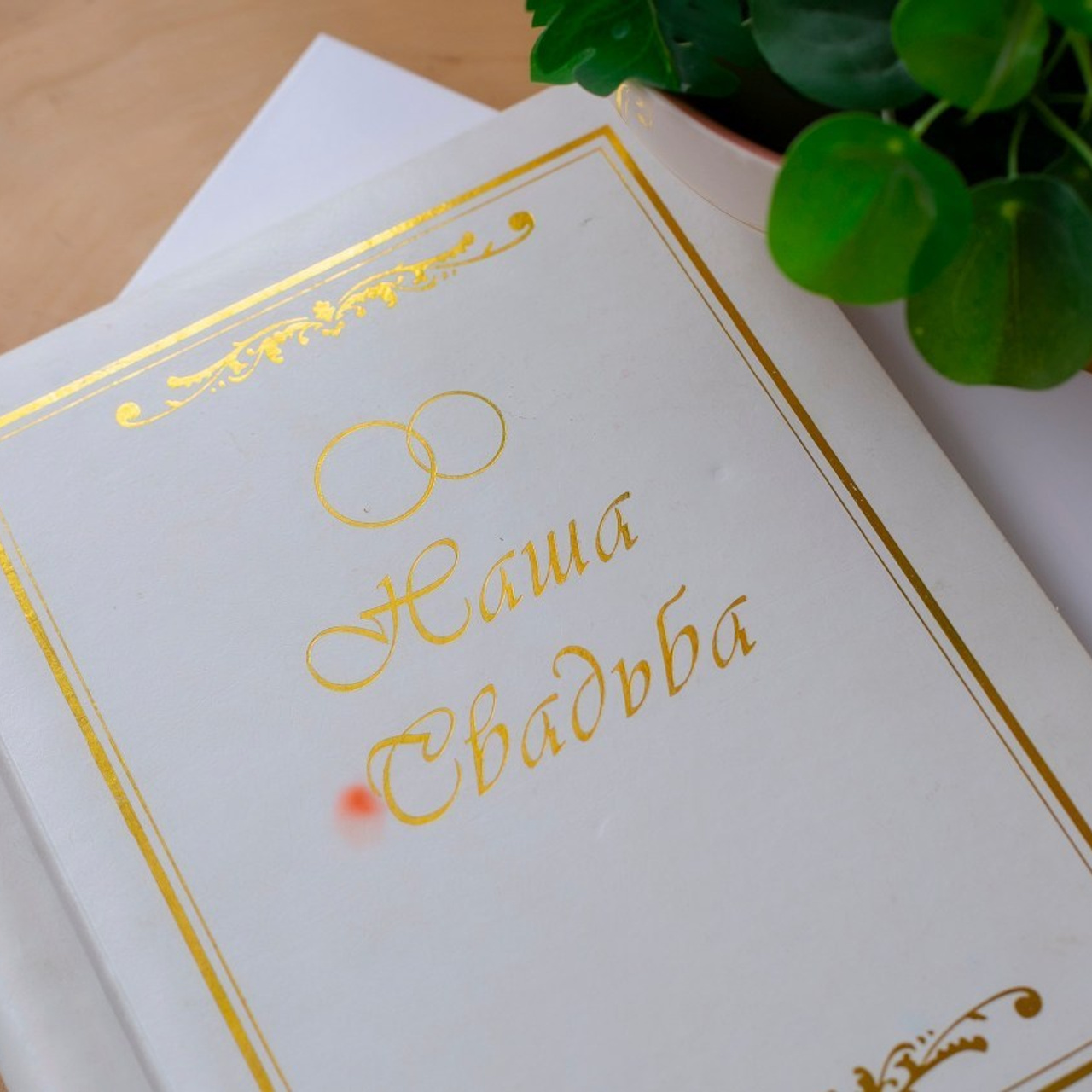 Отзывы. Семейный и репортажный фотограф в Череповце Оля Ланец