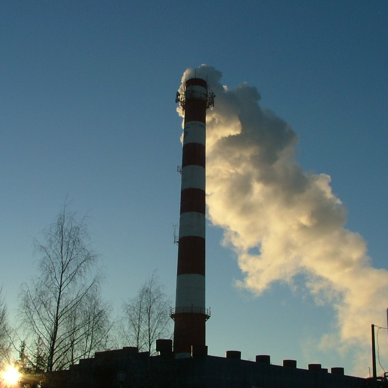 Ржев, Брянск. Своя Мастерская