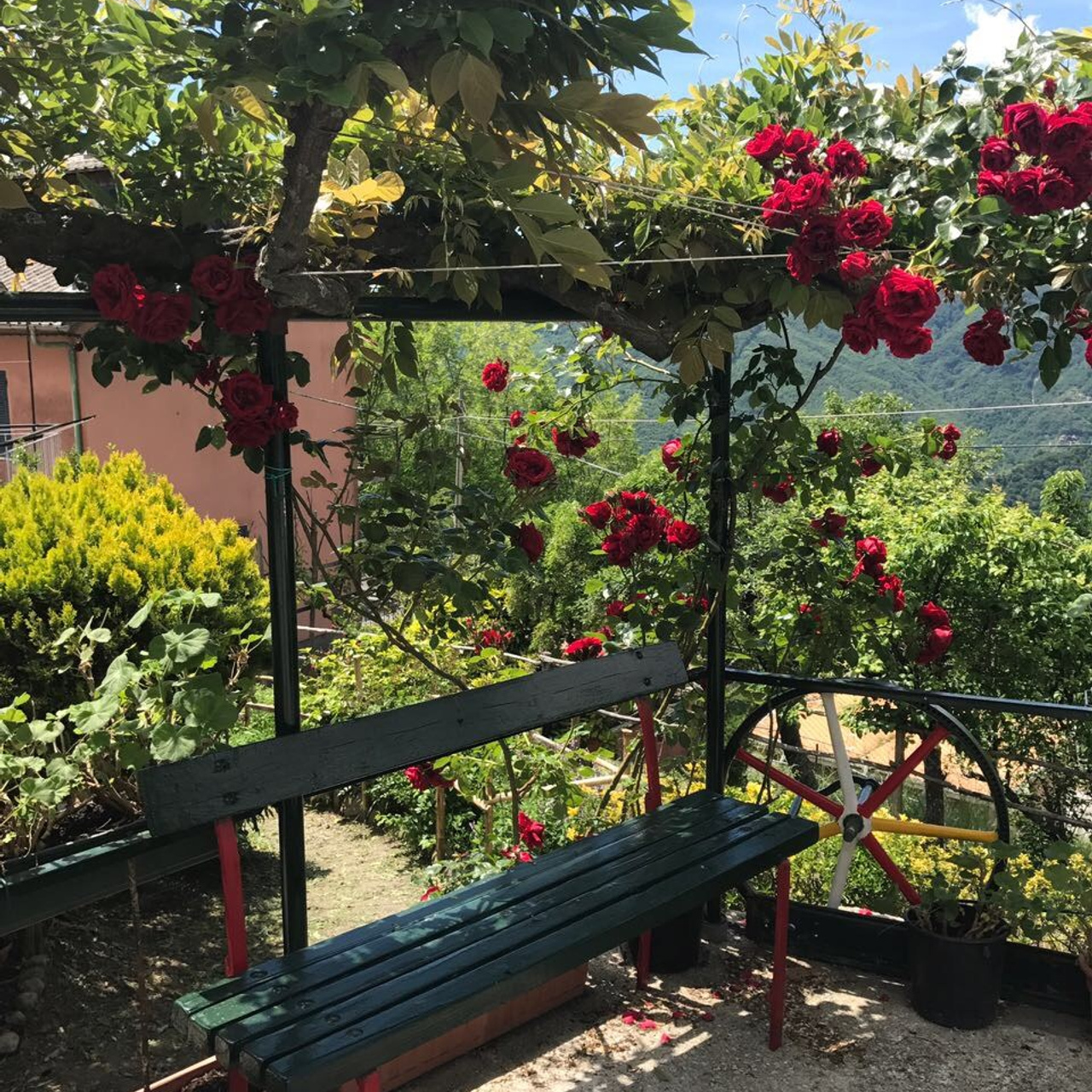 Италия. Своя Мастерская