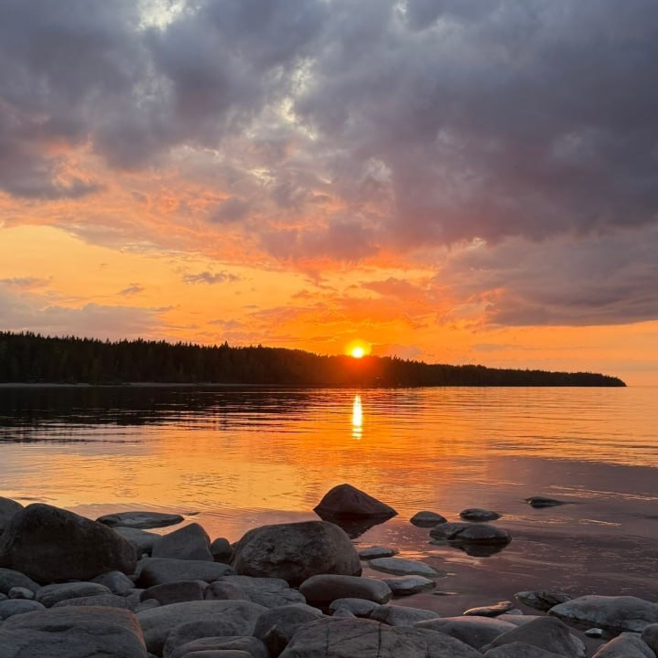 Ладога 2025. Своя Мастерская