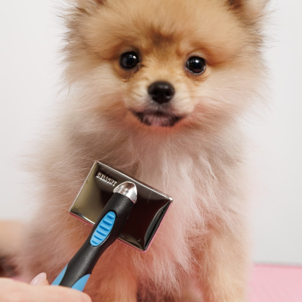 Отзывы. Свадебный фотограф в Саратове Симашова Ирина