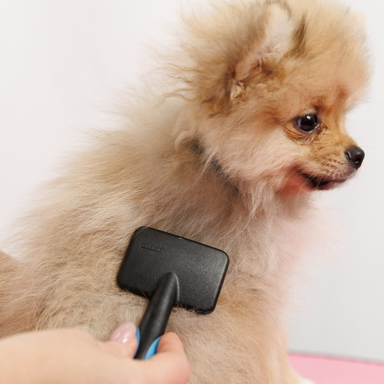 Отзывы. Свадебный фотограф в Саратове Симашова Ирина