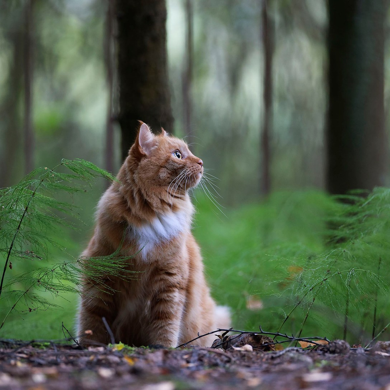 Отзывы. Детский и семейный фотограф в Москве Юлия Стукалова