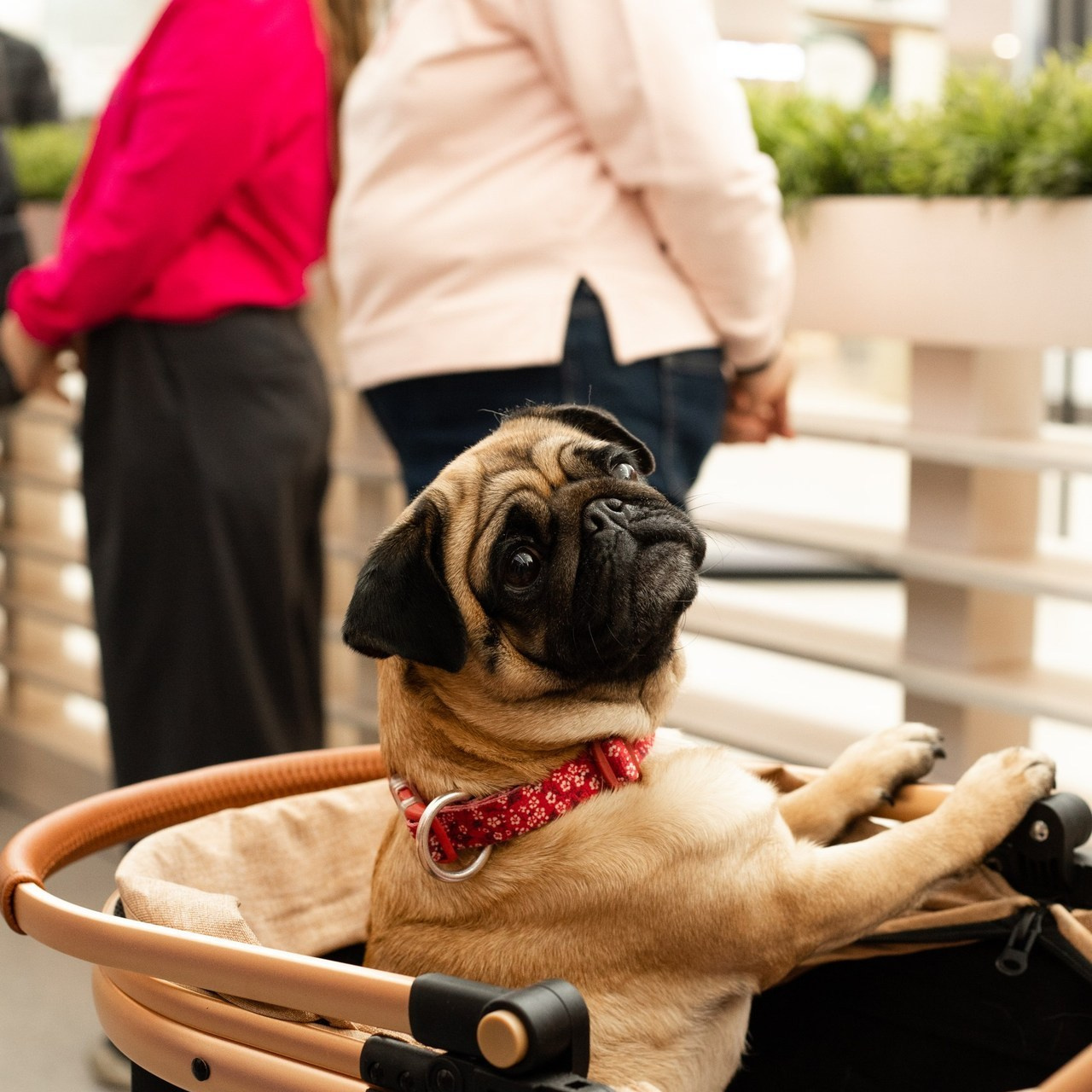 Отзывы на фотографа Валя Мердина. Атмосферная фотосъёмка в Омске!