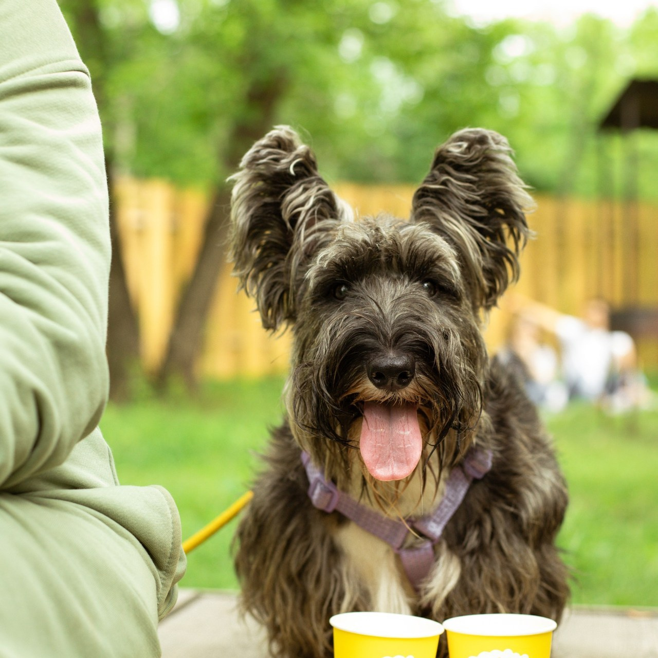 Отзывы на фотографа Валя Мердина. Атмосферная фотосъёмка в Омске!