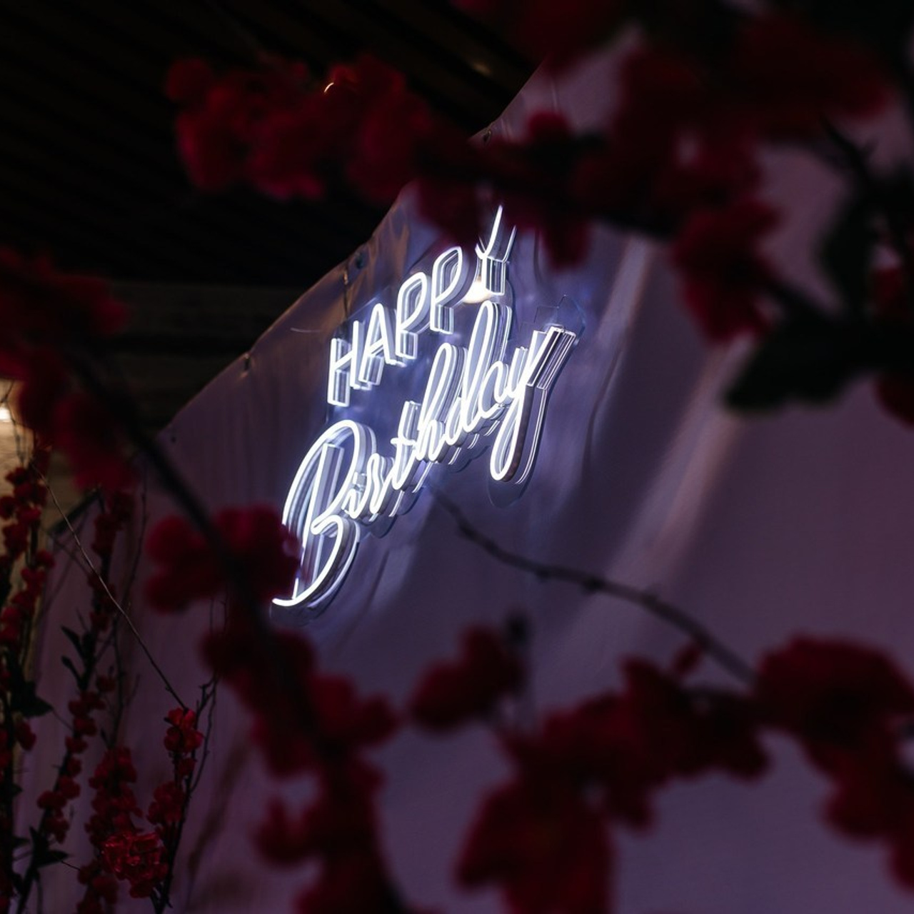 Отзывы. Фотограф Катерина Иванова