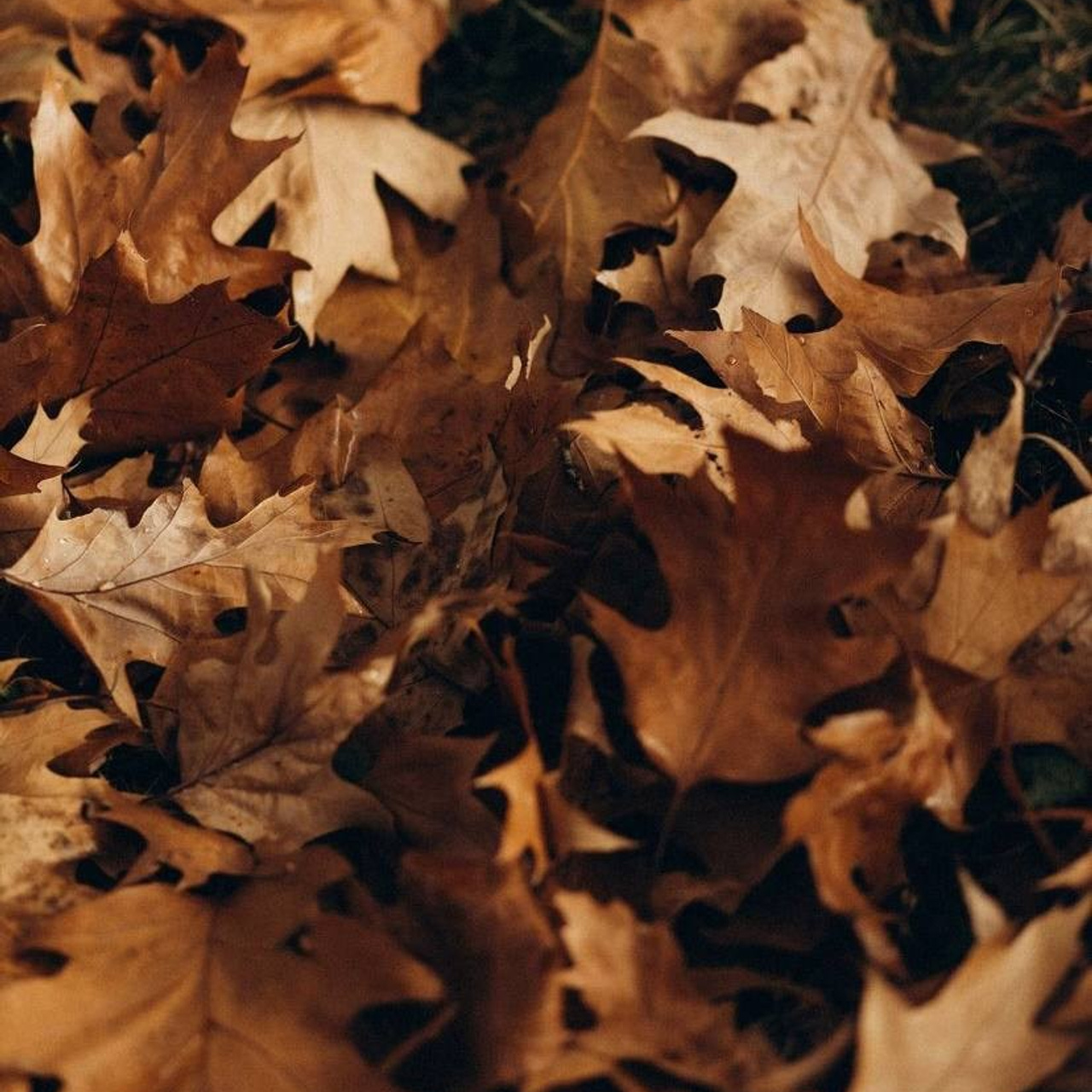 ОТЗЫВЫ. Свадебный фотограф в СПБ | Санкт-Петербурге Анастасия Рахимгулова