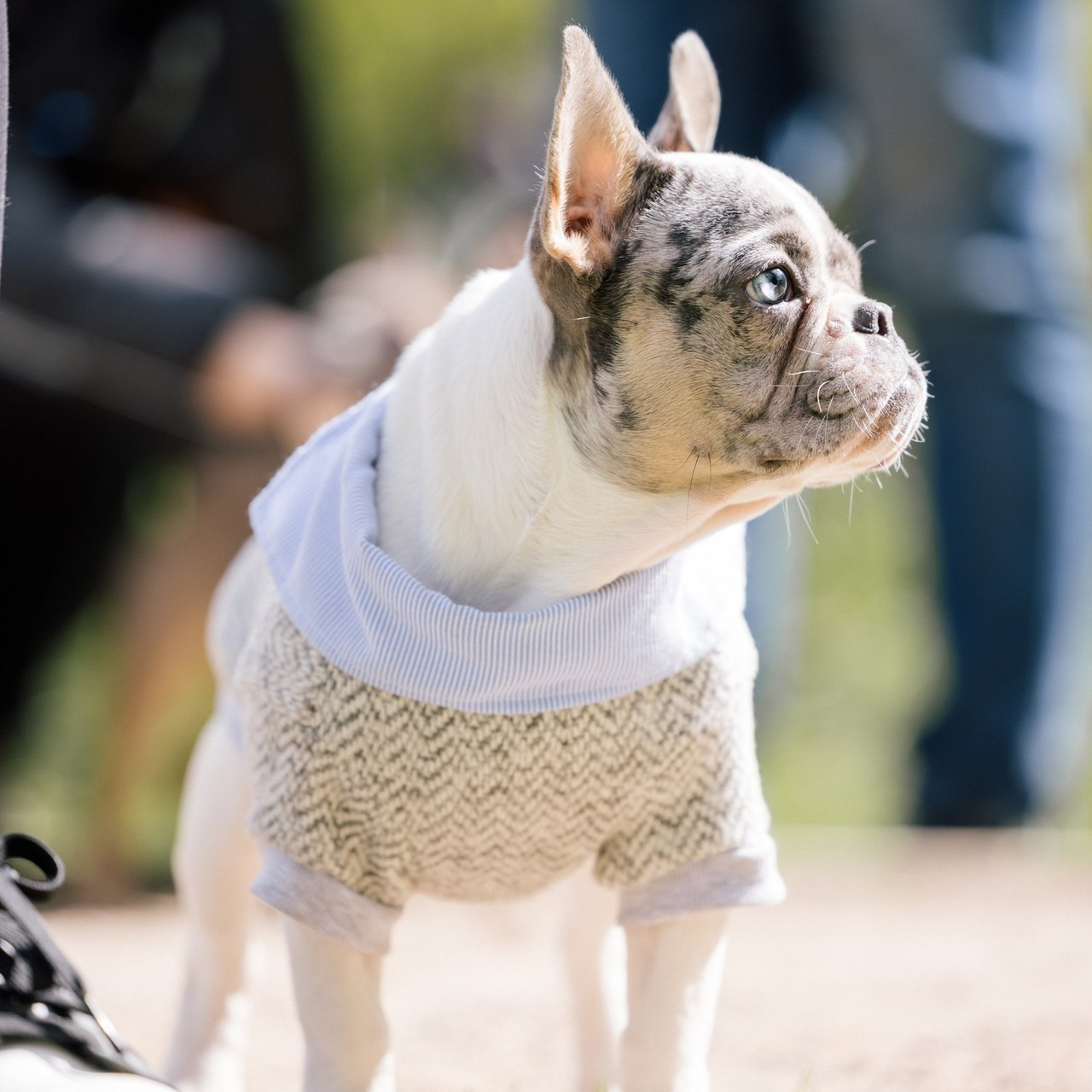 Отзывы. Аксана Лисовская фотограф в Москве. Фотографии с характером