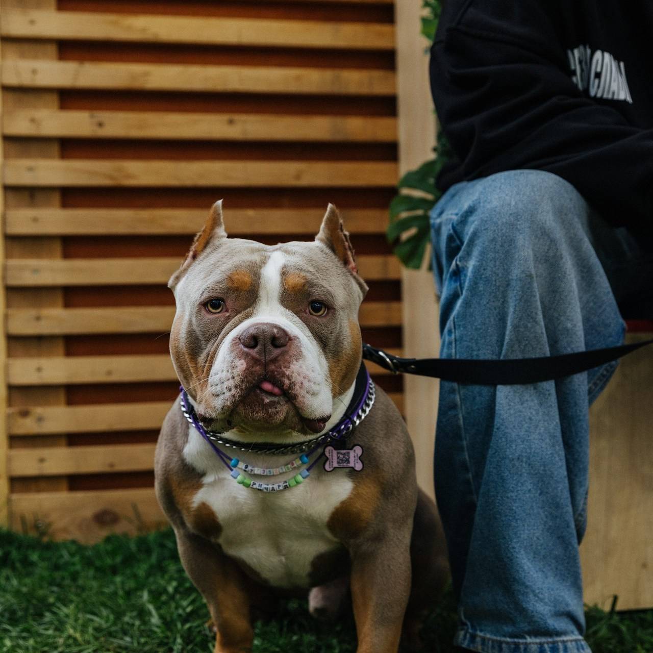 Отзывы. Аксана Лисовская фотограф в Москве. Фотографии с характером