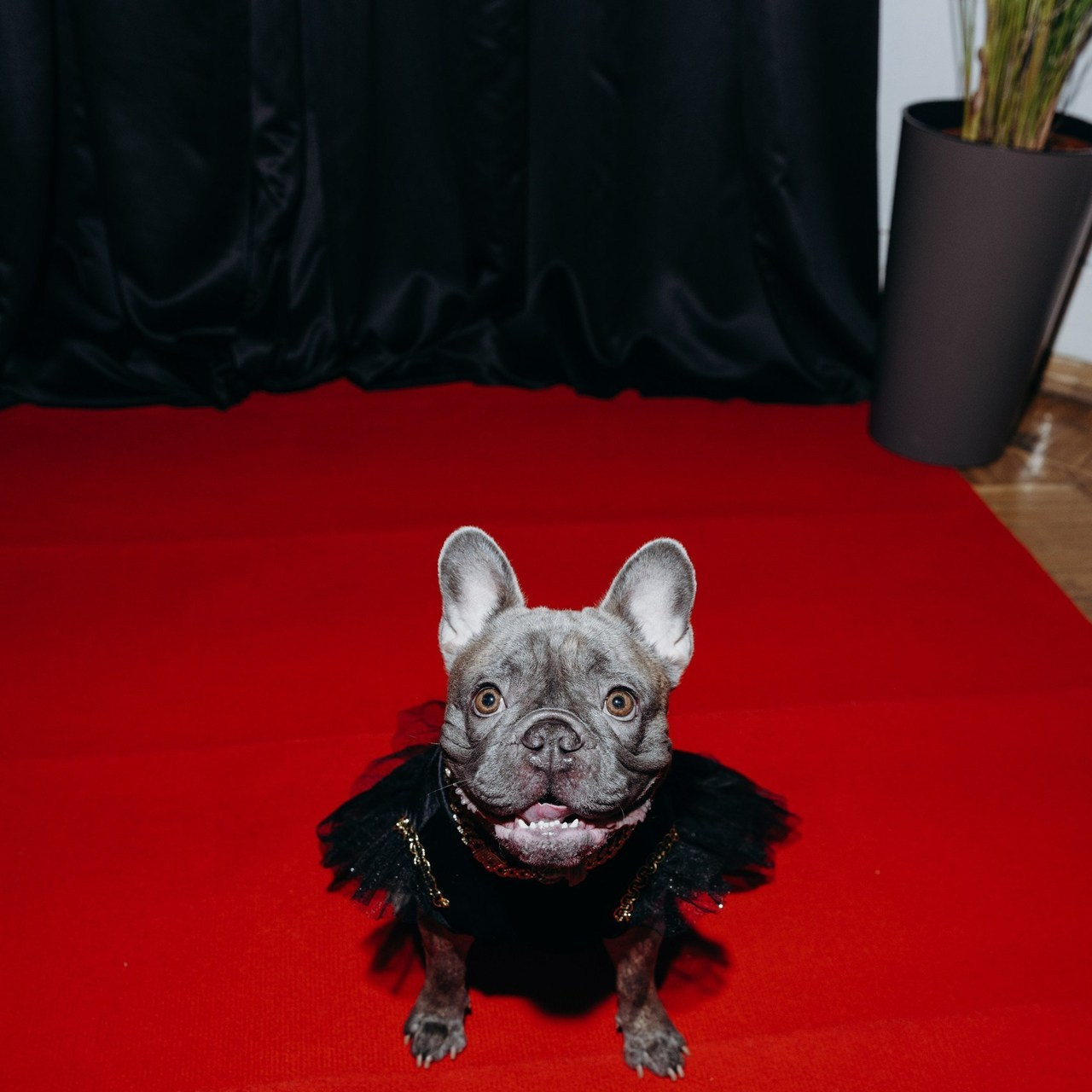 Отзывы. Аксана Лисовская фотограф в Москве. Фотографии с характером