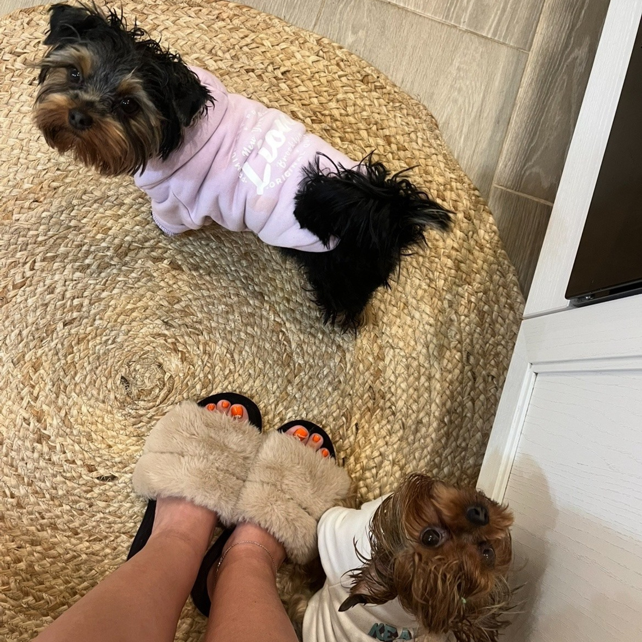 Домашние задания _ Жагорина. Семейный фотограф и видеограф в Тюмени Анна Жагорина