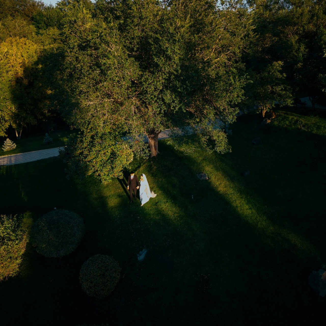 Отзывы. Shakhmanoff.kz