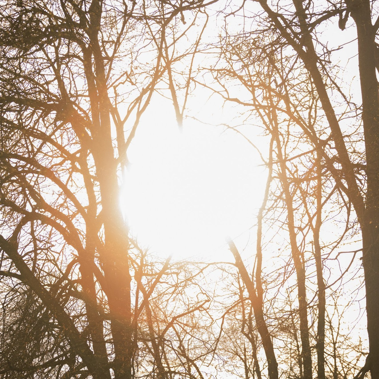 Отзывы. Свадебный и семейный фотограф Егорова Юлия