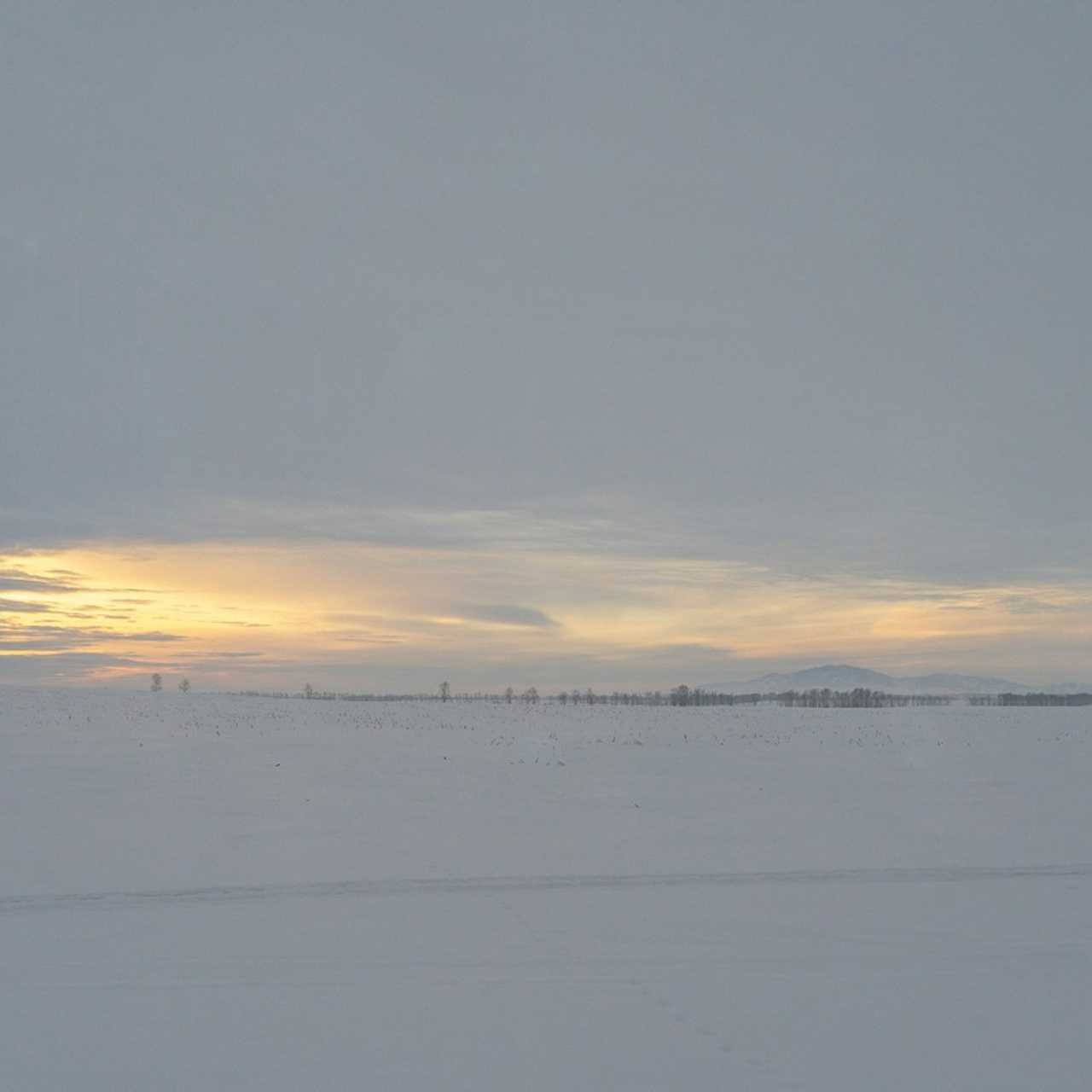 Отзывы. Ваш фотограф Северск | Томск