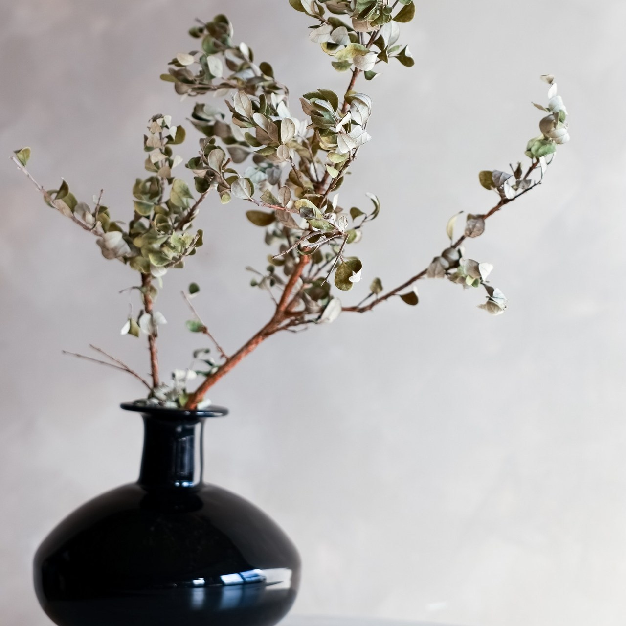 Отзывы. Семейные, индивидуальные Сьемки, фотографии для составления визуала