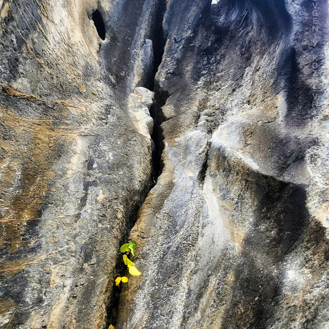 Отзывы. Фотограф Евгений Кожевников