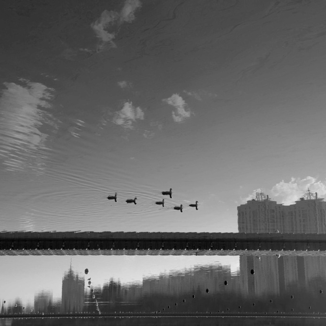 Трансформация. Фотограф Ольга Кардашова